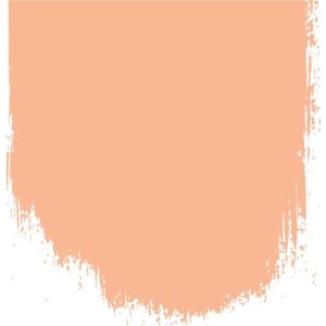 CHARENTAIS MELON NO 188 PERFECT MATT EMULSION PAINT