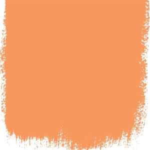 PAPAYA NO 189 PERFECT EGGSHELL PAINT