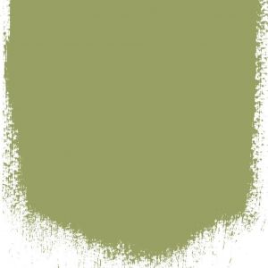 ASPARAGUS FERN NO 94 PERFECT MATT EMULSION PAINT